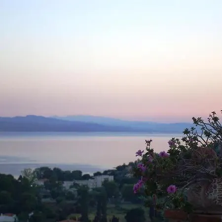 Luxury Nefeli In Skiathos Featuring An Exclusive Private Pool Oasis Βίλα Τρούλος